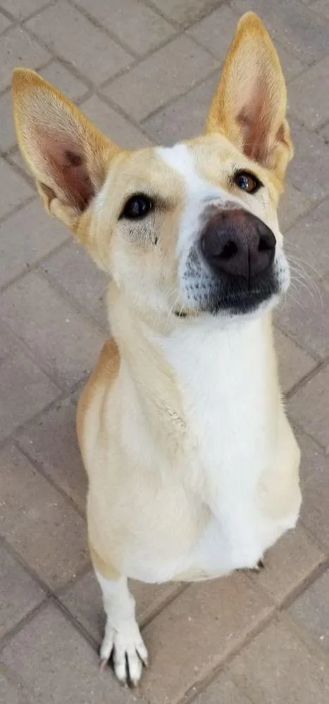 Tinkerbell thumbnail 5