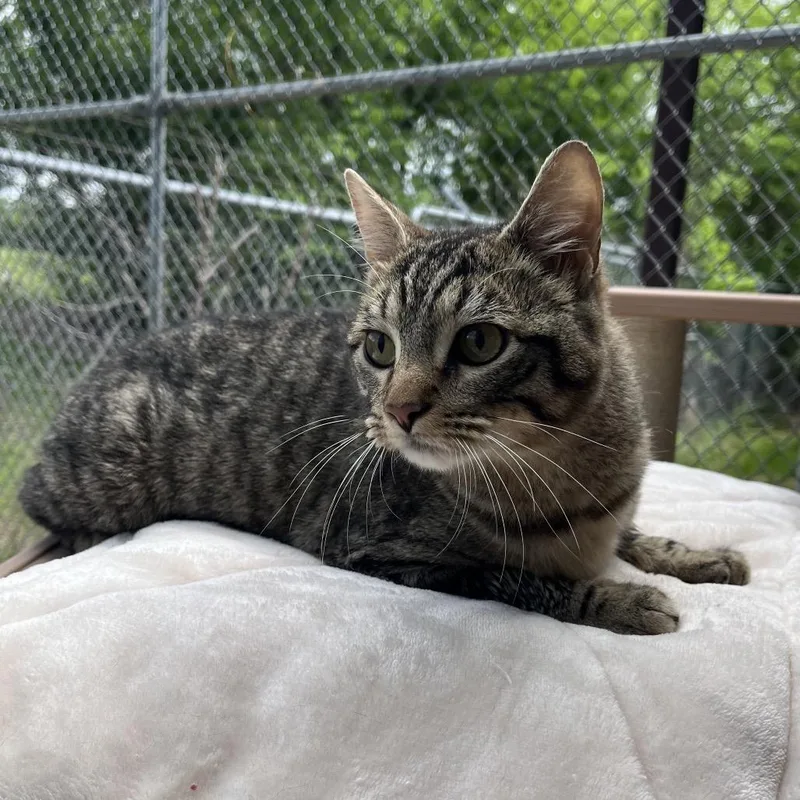 Rootbeer thumbnail 2