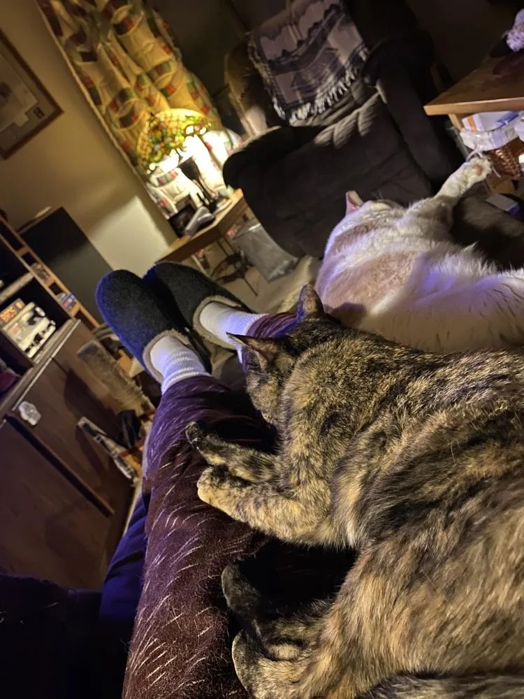 Mia Pumpkin thumbnail 4