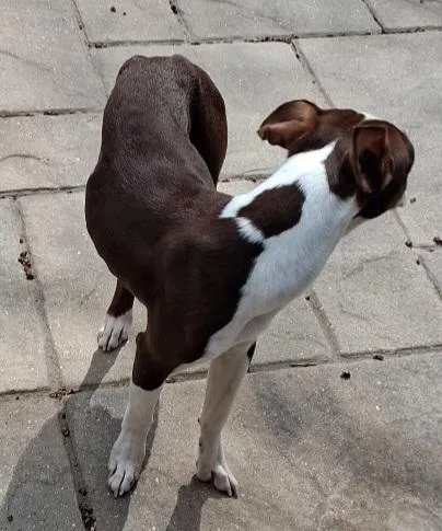 Maverick In Ne thumbnail 2