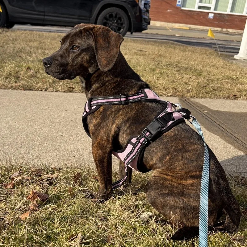 Midnight A.k.a. Stormi thumbnail 2