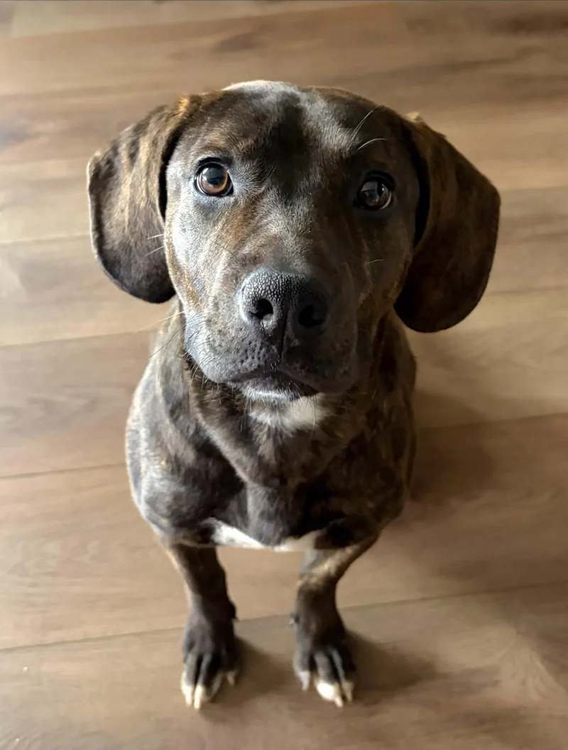 Midnight A.k.a. Stormi