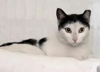 Emilia Park thumbnail 2