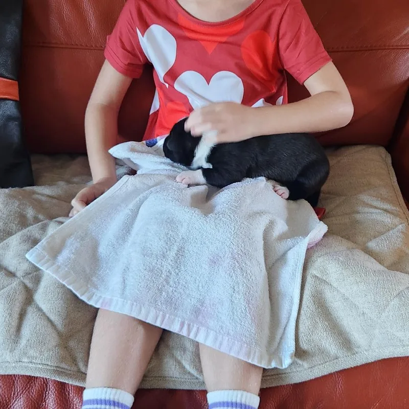 Sorsha  Costa Mesa thumbnail 2