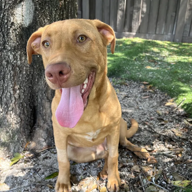 Hermes Aka Cooper thumbnail 2