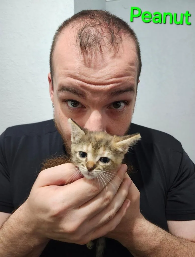 Peanut thumbnail 3