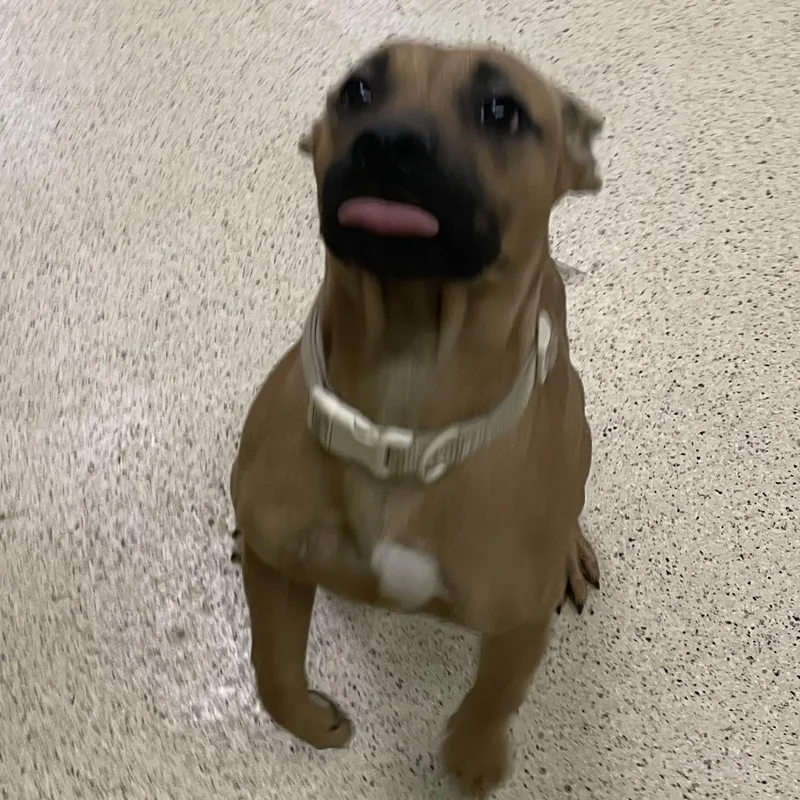 Sunshine thumbnail 2