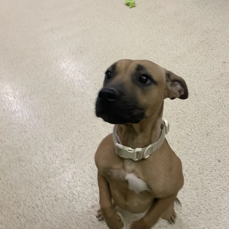 Sunshine thumbnail 3