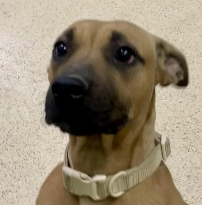 Sunshine thumbnail 4