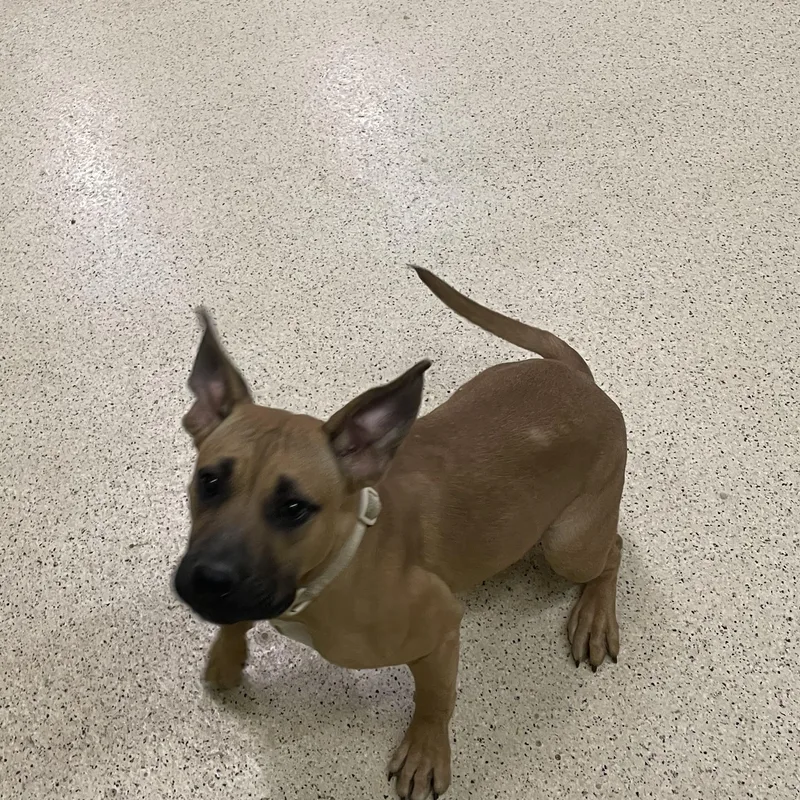 Sunshine thumbnail 5