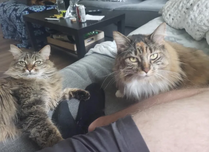 Momo & Chichi thumbnail 4