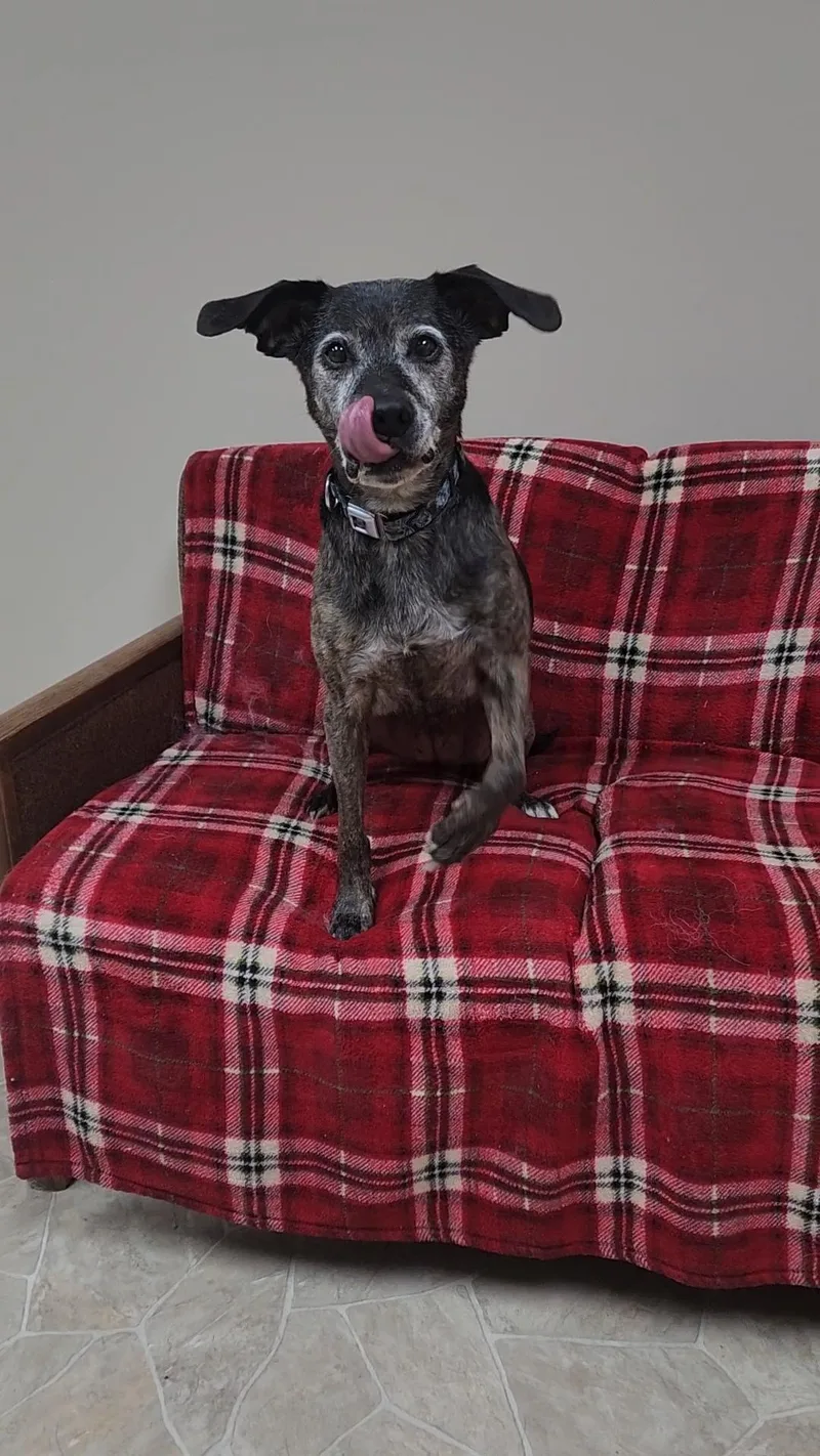 Betty