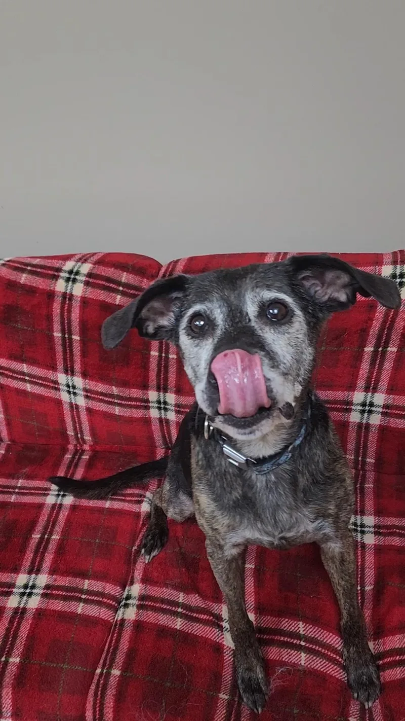 Betty thumbnail 2