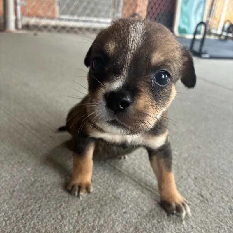 Winnie