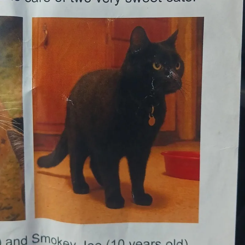 Smokey Joe thumbnail 2