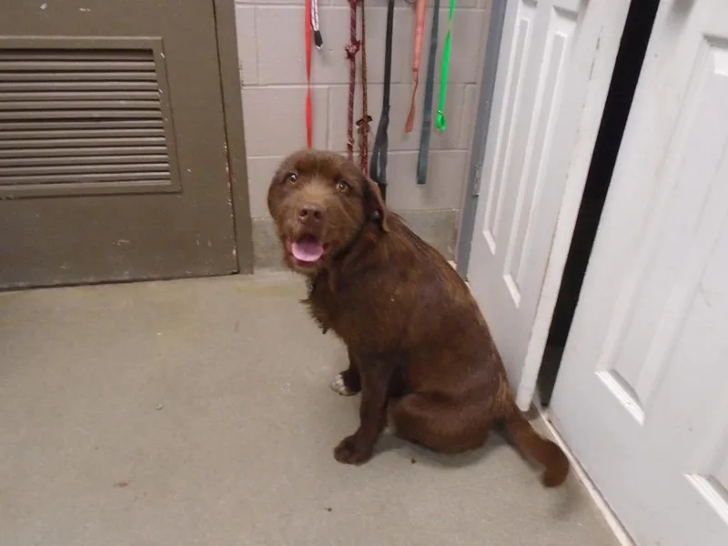 Denvernellie Oleson thumbnail 2