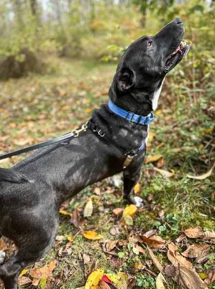 James Gordon thumbnail 2