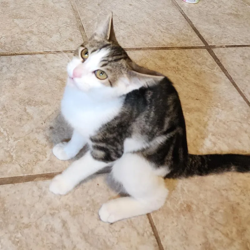 Sean O'Purry thumbnail 2