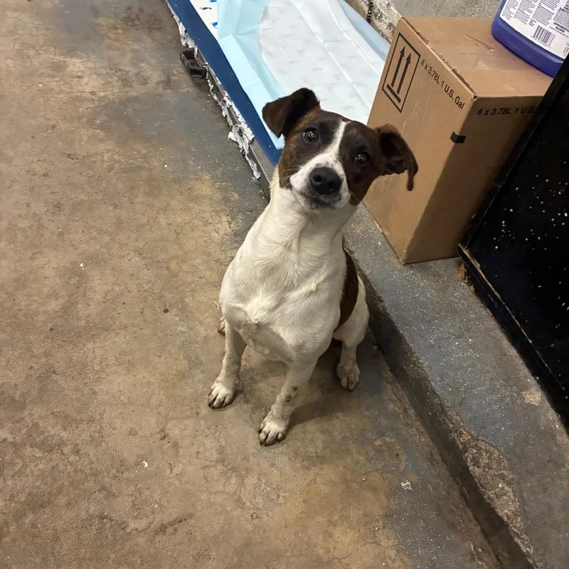 Miss Fry thumbnail 2