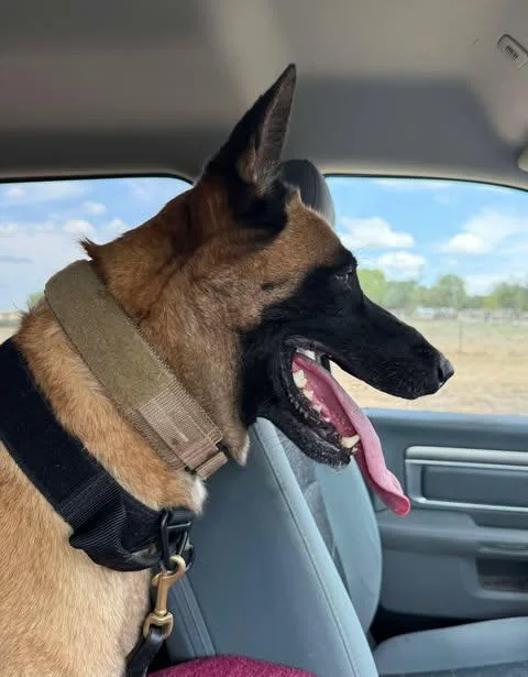 Zeus