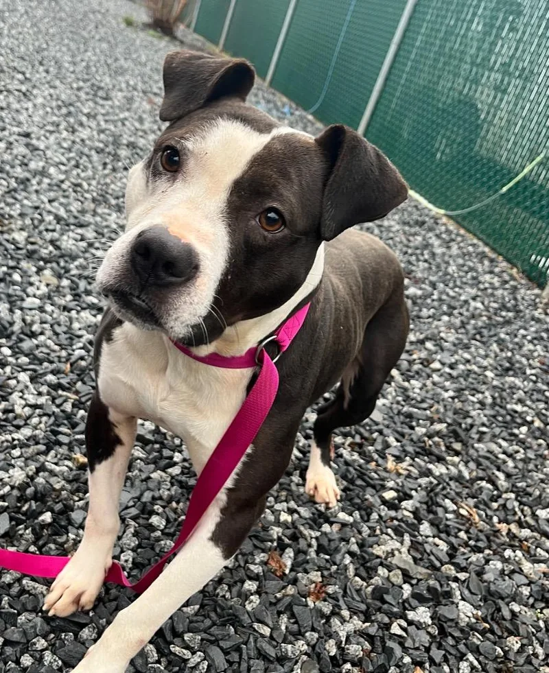 Superman thumbnail 2