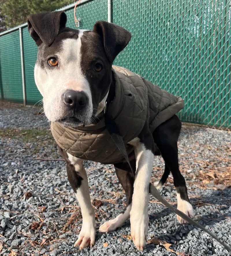 Superman thumbnail 4