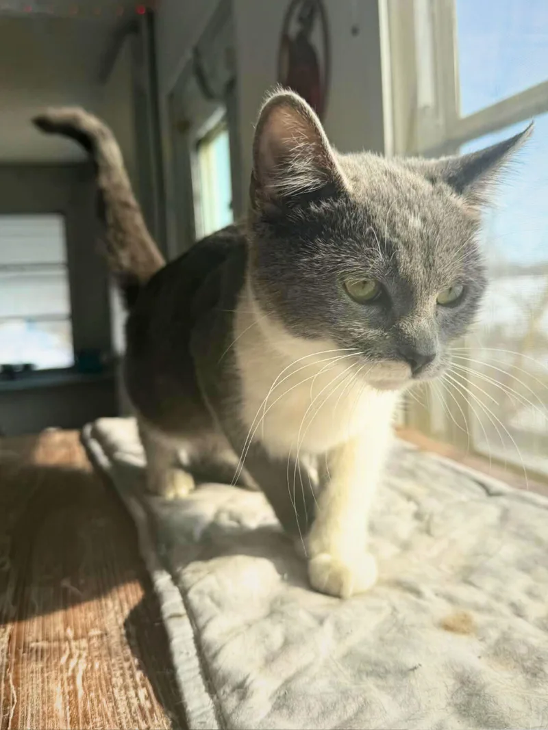 Chloe | Young | thumbnail 2