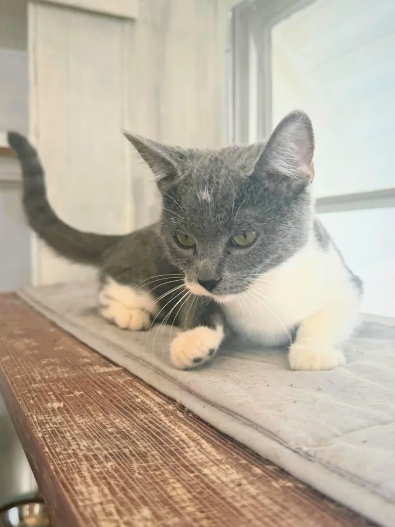 Chloe | Young | thumbnail 3