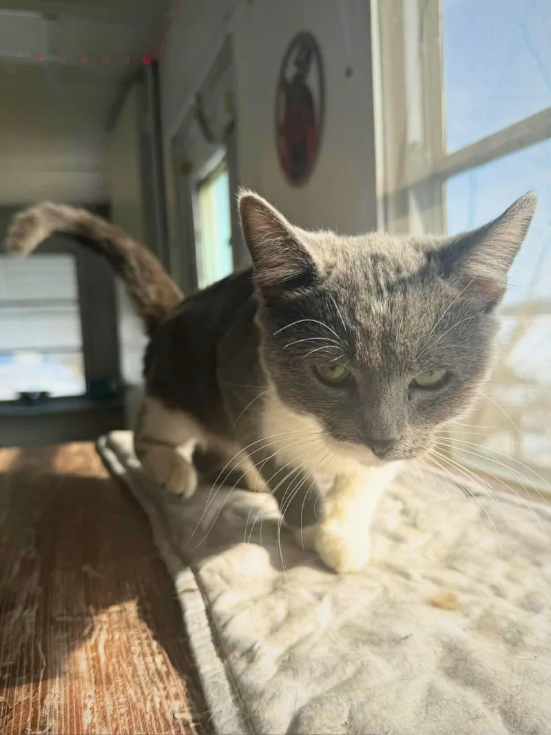 Chloe | Young | thumbnail 4