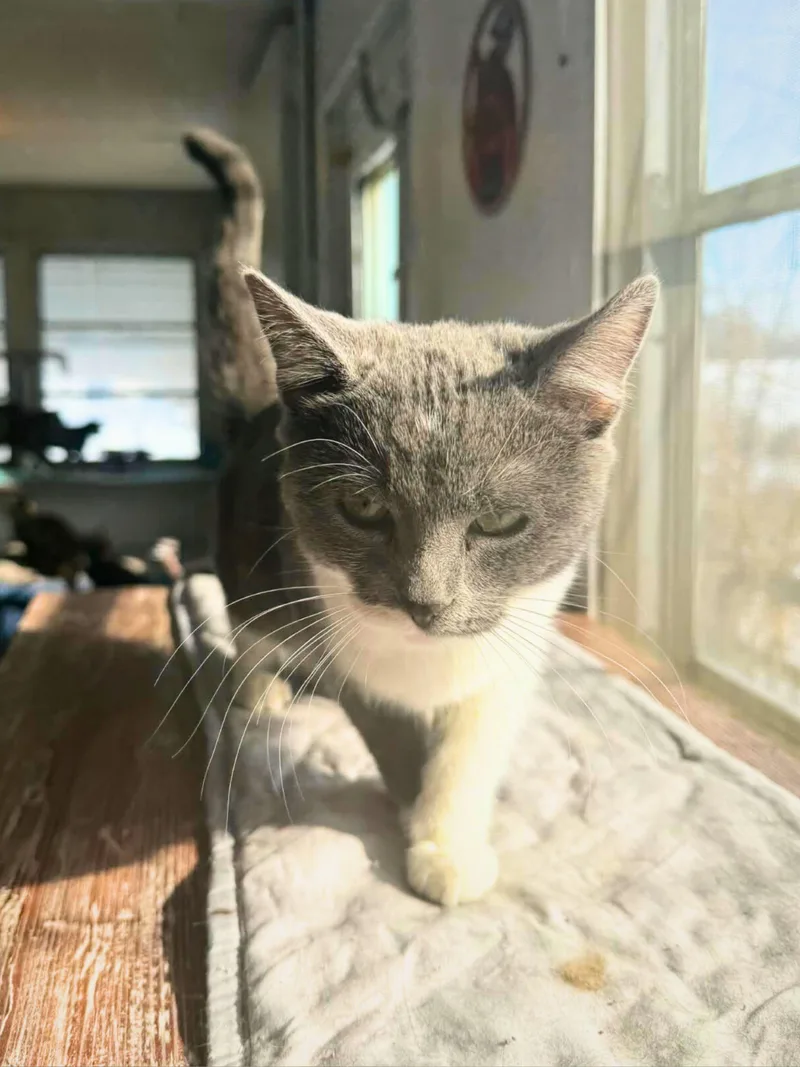 Chloe | Young | thumbnail 5