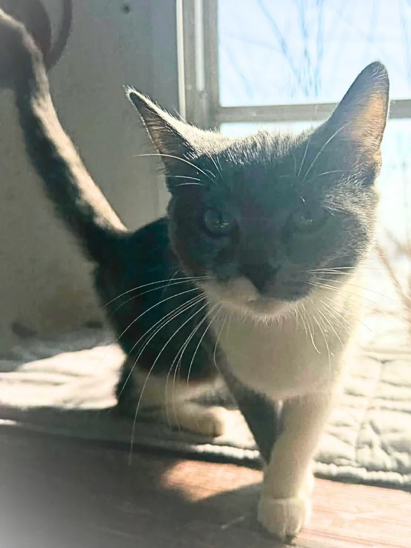 Chloe | Young | thumbnail 6