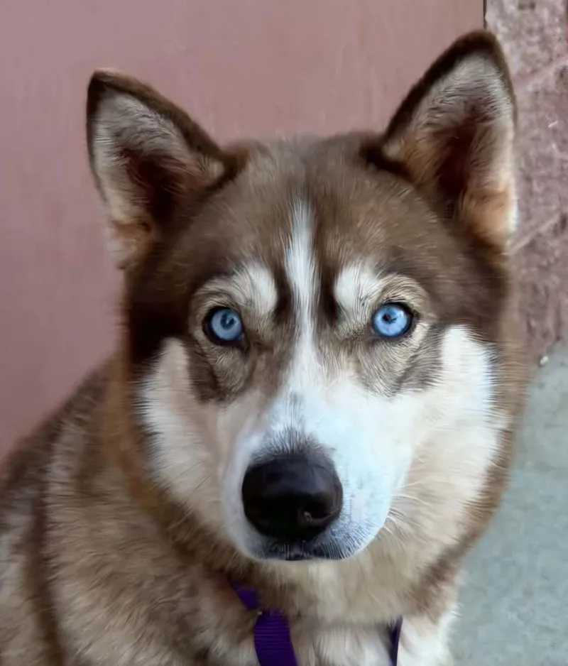 Nyla thumbnail 4