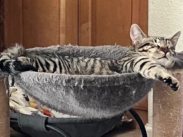 Kendrick thumbnail 3