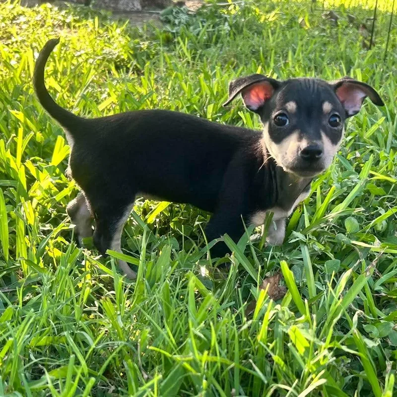 Merida thumbnail 2