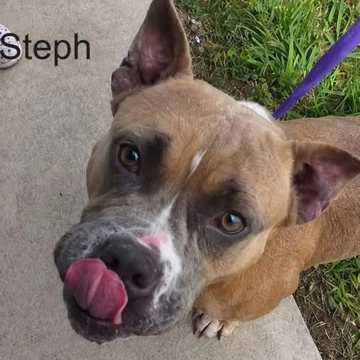 Steph thumbnail 4