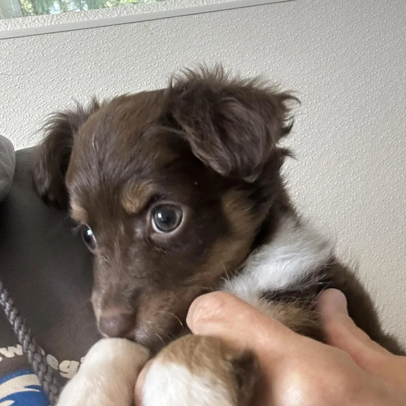 Marian thumbnail 4