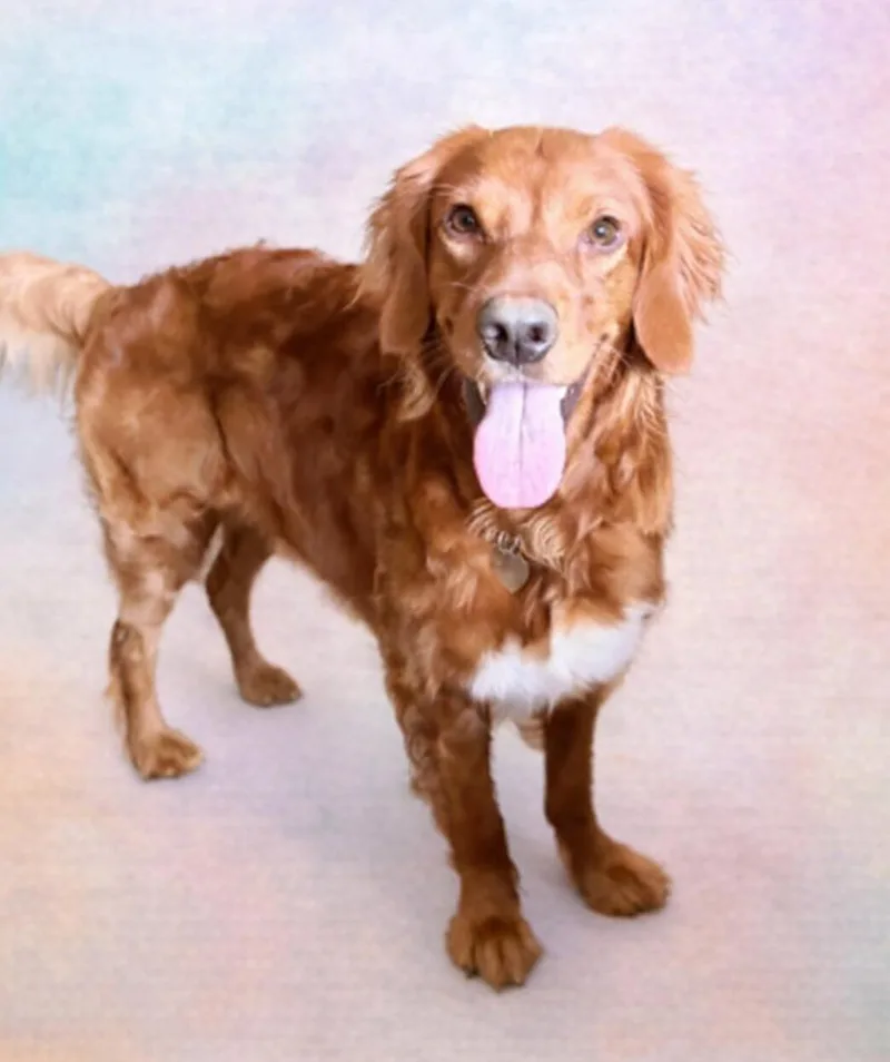 Gabby  Jan  thumbnail 2