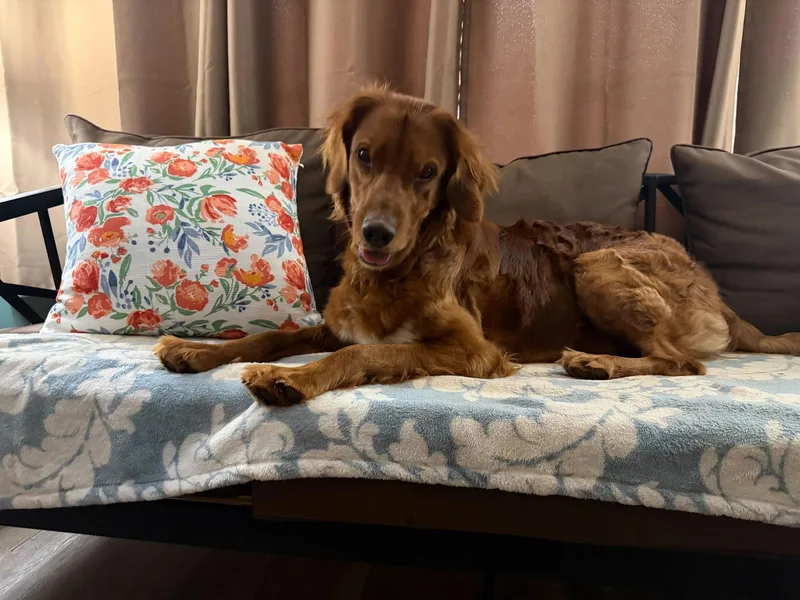 Gabby  Jan  thumbnail 3