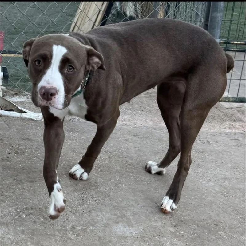 Lisa Marie thumbnail 2