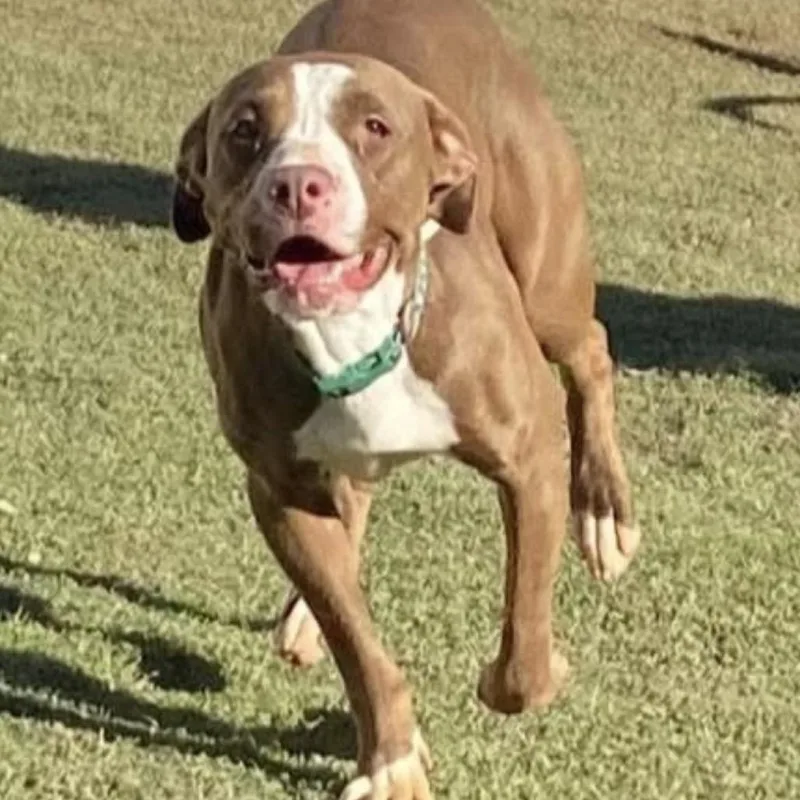 Lisa Marie thumbnail 3