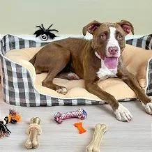 Lisa Marie thumbnail 4