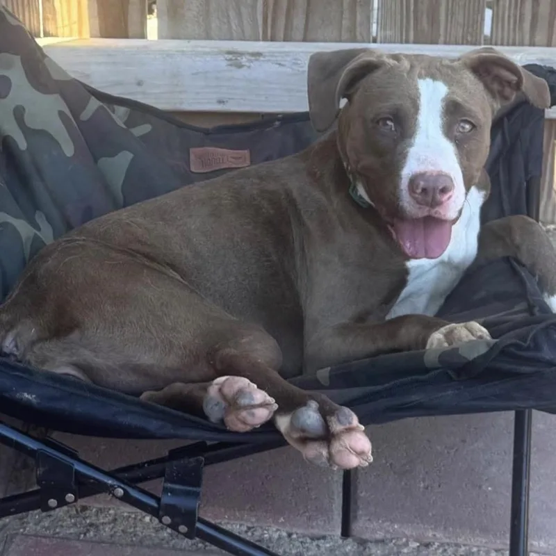 Lisa Marie thumbnail 5