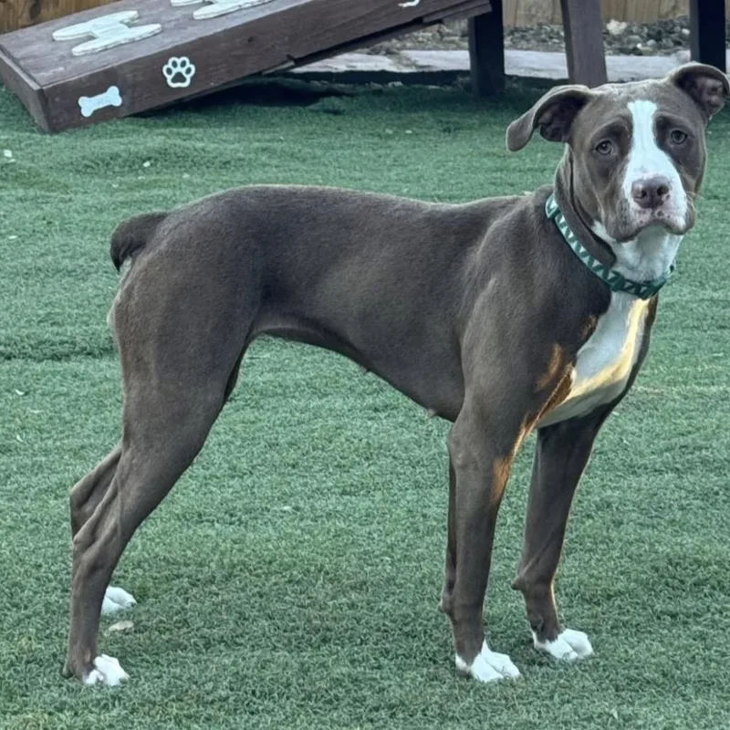 Lisa Marie thumbnail 6