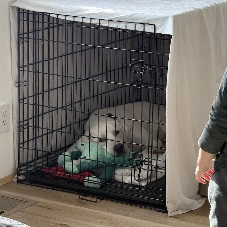 Arlo thumbnail 2