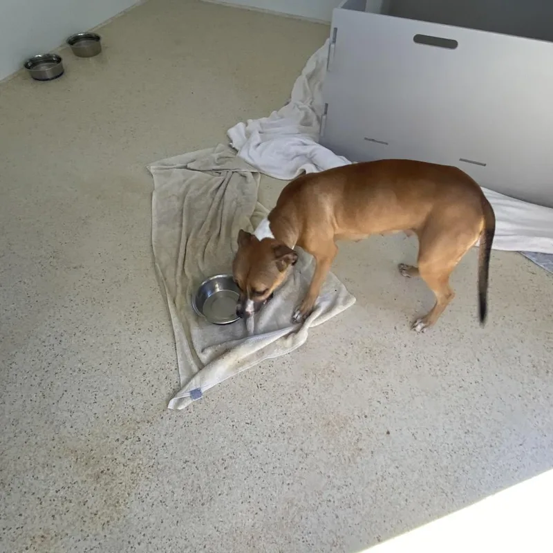 Miss Finster thumbnail 3