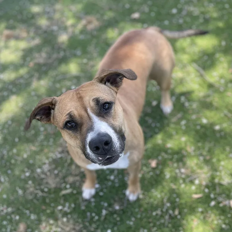 Miss Finster thumbnail 4