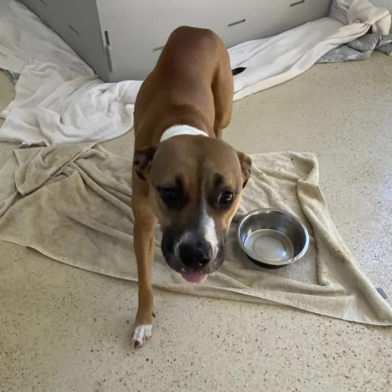 Miss Finster thumbnail 5