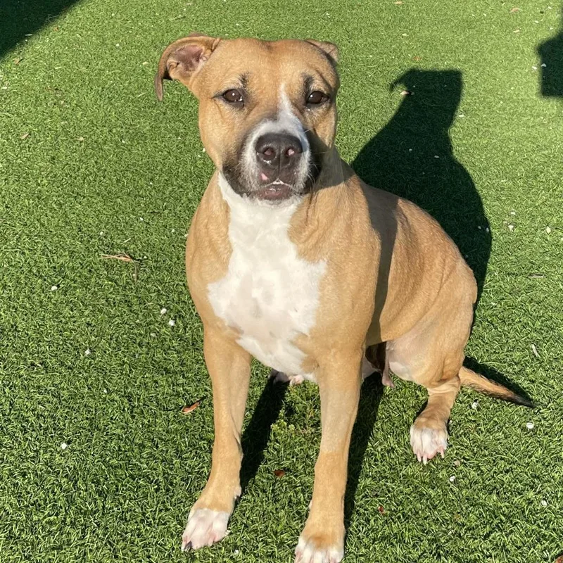 Miss Finster thumbnail 6