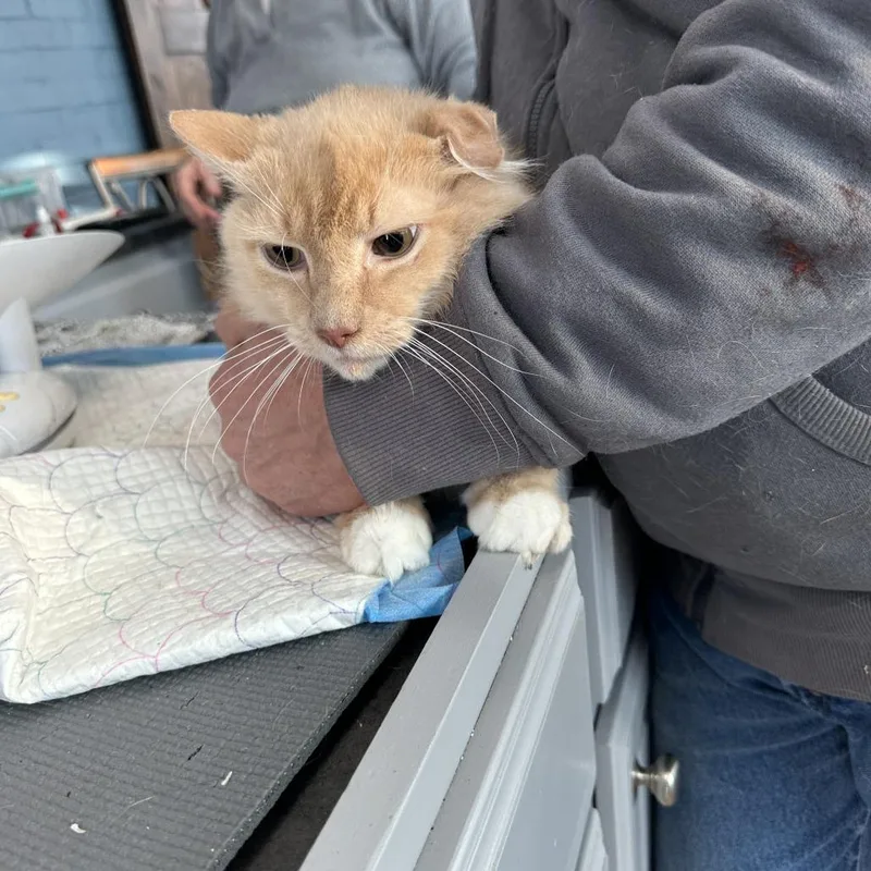 Olivia Estep thumbnail 2