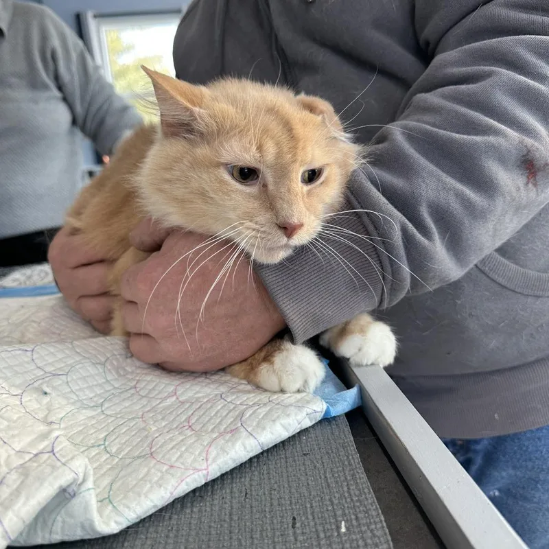 Olivia Estep thumbnail 3